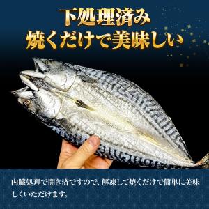 特選さば開き 2枚(1尾約280g×2)1枚真...の詳細画像5
