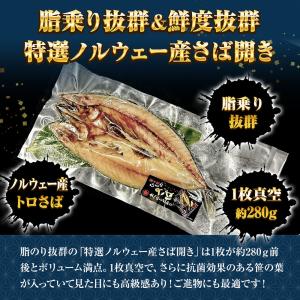 特選さば開き 1枚 約280g1枚真空 笹の葉...の詳細画像2