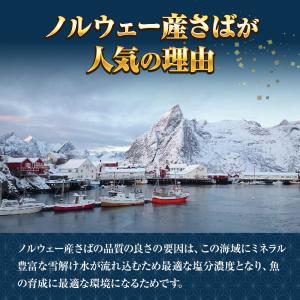 特選さば開き 1枚 約280g1枚真空 笹の葉...の詳細画像4
