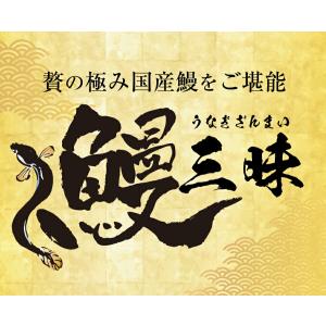 薩摩川内 国産 うなぎ蒲焼 詰合せ セット う...の詳細画像1