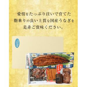 薩摩川内 国産 うなぎ蒲焼 詰合せ セット う...の詳細画像4