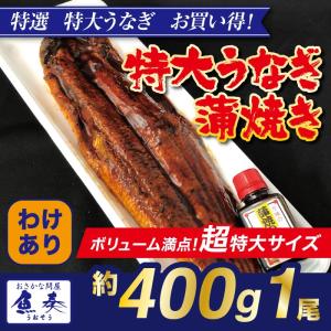 超特大 うなぎ蒲焼 1尾380g〜400g前後 中国産 訳あり 鰻 長焼 炭火焼 土用 丑の日 母の...