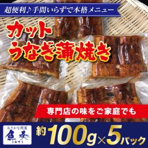 送料無料！ まとめ買い 冷凍 うなぎ 蒲焼 100gカット 10パックセット