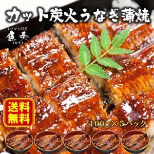 うなぎ蒲焼 切身カット 100g×5P 訳あり 真空パック 自社加工 土用 丑の日 ギフト うなぎ ウナギ 鰻 ポイント利用 お試し商品 サンプル