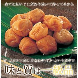 紀州南高梅はちみつ梅 350g 訳あり 梅干し...の詳細画像5