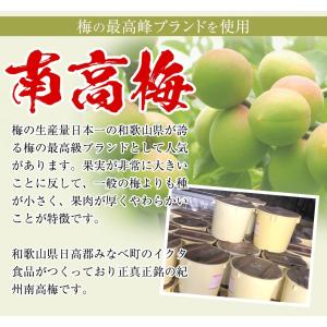 紀州南高梅 はちみつ梅 700g(350g×2...の詳細画像1
