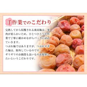 紀州南高梅 はちみつ梅 700g(350g×2...の詳細画像3