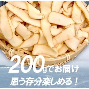 イカ燻製 いか燻製 200g いかくん 訳あり...の詳細画像2