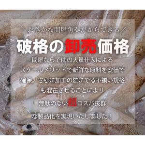イカ燻製 いか燻製 200g いかくん 訳あり...の詳細画像4