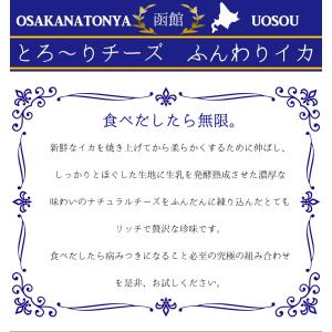 とろ〜りチーズ ふんわりイカ 訳あり 破格値 ...の詳細画像2