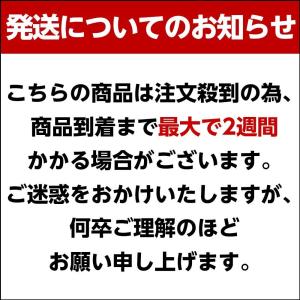 いかそうめん 200g 訳あり イカ 珍味 最...の詳細画像1