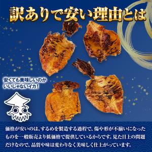 訳あり するめ姿焼き 120g するめ スルメ...の詳細画像4