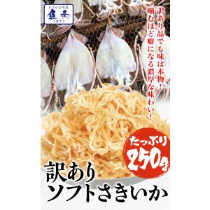 ソフト さきいか 珍味 250g 訳アリ 訳あ...の詳細画像1