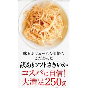 ソフト さきいか 珍味 250g 訳アリ 訳あ...の詳細画像4