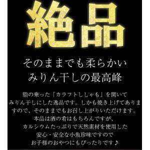 焼ししゃも シシャモ 400g みりん干し 在...の詳細画像4