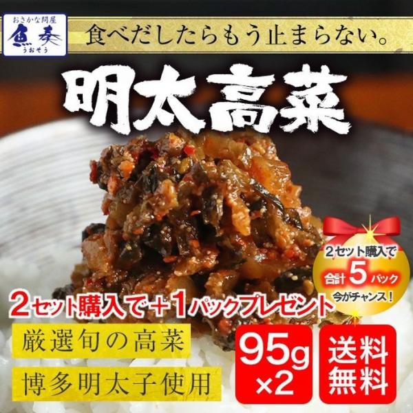 明太高菜 辛子高菜 95g×2P 博多明太子 魚屋の明太高菜 メール便 お試し 最安 訳あり 漬物 ...