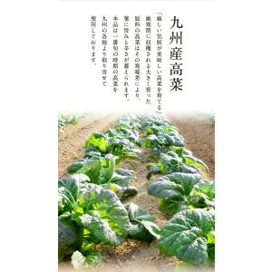 ★今だけ2セット購入で1パックおまけ★ 魚屋こ...の詳細画像4