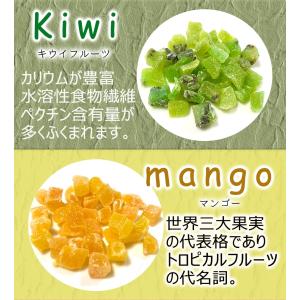 7種のドライフルーツ お徳用 500g メガ盛...の詳細画像4