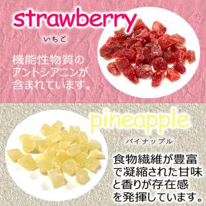 7種のドライフルーツ お徳用 500g メガ盛...の詳細画像5