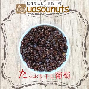 レーズン 850g メガ盛り お徳用 干し葡萄 カリフォルニア ドライフルーツ ぶどう 保存 訳あり ポイント利用 お試し商品 サンプル