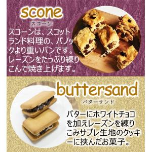 レーズン 850g メガ盛り お徳用 干し葡萄...の詳細画像5