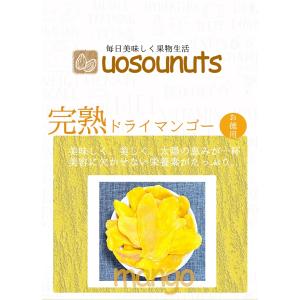 ドライマンゴー メガ盛り お徳用 950g 完...の詳細画像1