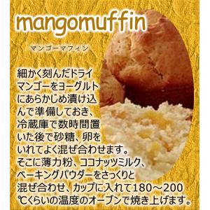 ドライマンゴー メガ盛り お徳用 950g 完...の詳細画像5