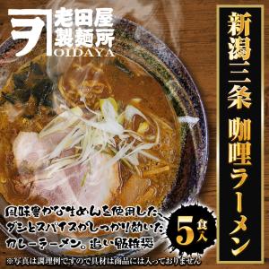 新潟三条 珈竰ラーメン 5食 生めん カレー ...の詳細画像1
