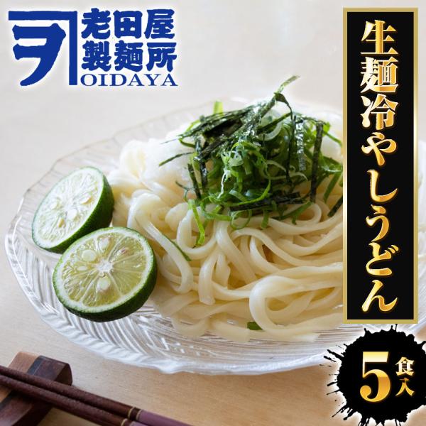 生麺冷やしうどん 5食 生めん ざるうどん 冷やしうどん 饂飩 ウドン ポスト投函 生麺 簡単 歳末...
