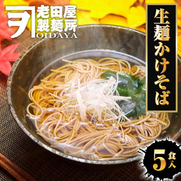 年越しそば 生麺かけそば 5食 生めん そば 100g×5玉 蕎麦 ソバ 生そば 日本蕎麦 ポスト投...