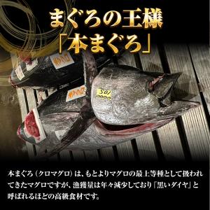 本まぐろ中トロ 柵 1kg まぐろ マグロ 鮪...の詳細画像5