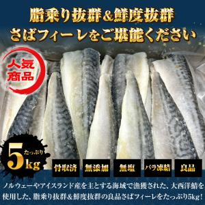 サバ さば 鯖 骨取りサバ 5kg (30枚)...の詳細画像2