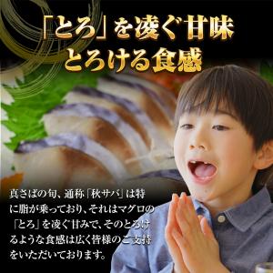 大とろしめさば 1パック 1枚真空 特大サイズ...の詳細画像4