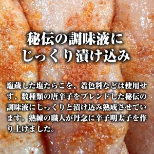 辛子明太子 メガ盛り 1kg 切れ明太 博多め...の詳細画像5