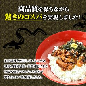 ひつまぶし 100g レトルト きざみうなぎ ...の詳細画像4