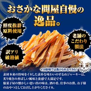 するめジャーキー 訳あり 170g 酒の肴 ス...の詳細画像2