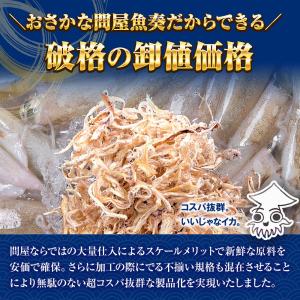 炙りさきいか サキイカ メガ盛り 140g 訳...の詳細画像4