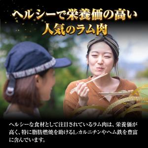 ラム肉 スライス 500g 羊肉 ジンギスカン...の詳細画像5
