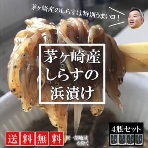 【送料無料】ご飯が止まらない！湘南・茅ヶ崎産しらすの浜漬け4瓶セット