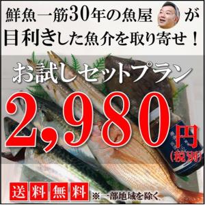 【送料無料】鮮魚一筋30年の魚屋が目利きした魚介を取り寄せ！お試しセットプラン2,980円（税別）