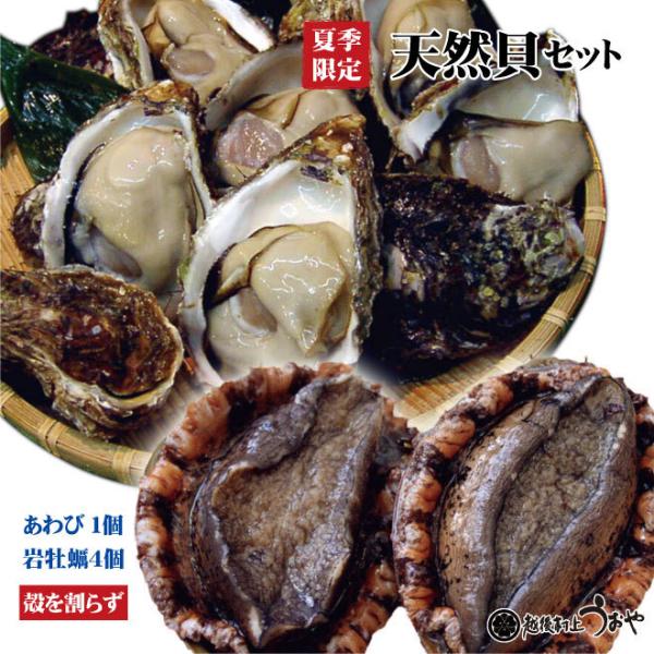 日本海産 天然貝セットA《岩牡蠣4個〈割らずに〉・ あわび1個》 魚介セット/貝類/お中元/ギフト