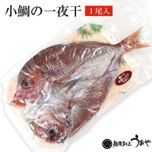 新潟県産 天然小鯛の一夜干 1尾　干物 ひもの 小鯛 タイ｜uoya