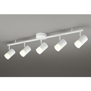 ODELIC（オーデリック） スポットライト 【OS256460R】【OS 256 460R