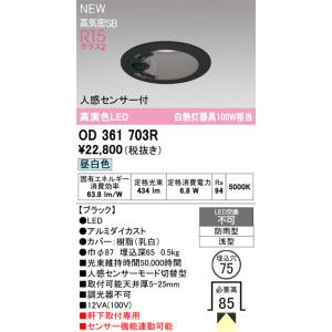 オーデリック エクステリアライト 【OD361703R】【OD 361 703R】