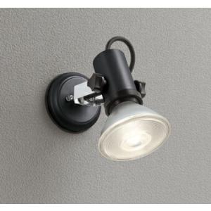 ODELIC（オーデリック） 安心のメーカー保証 OG254344P1 屋外灯