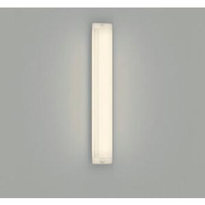 法人様限定】パナソニック NNFB91105C LED非常用照明器具 直付（30分間