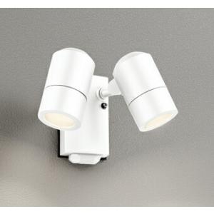 岩崎電気 ESP14003/BK (ESP14003BK) 屋外スポットライト＞ 屋外