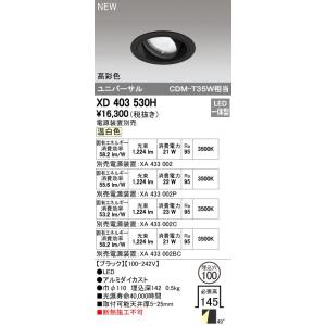 オーデリック 店舗・施設用照明 テクニカルライト ダウンライト【XD 403 530H】XD4035...