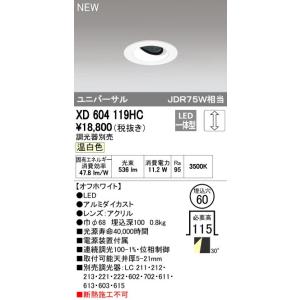 オーデリック 店舗・施設用照明 テクニカルライト ダウンライト【XD 604 119HC】XD604...