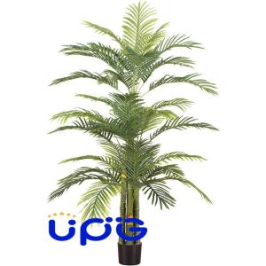 人工観葉植物 大型 常緑樹 フェイクグリーン 目...の商品画像